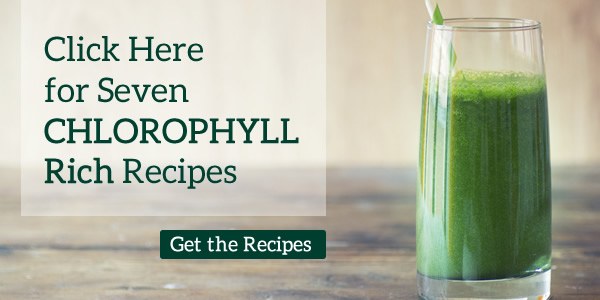 click here for 7 chlorophyll recipes