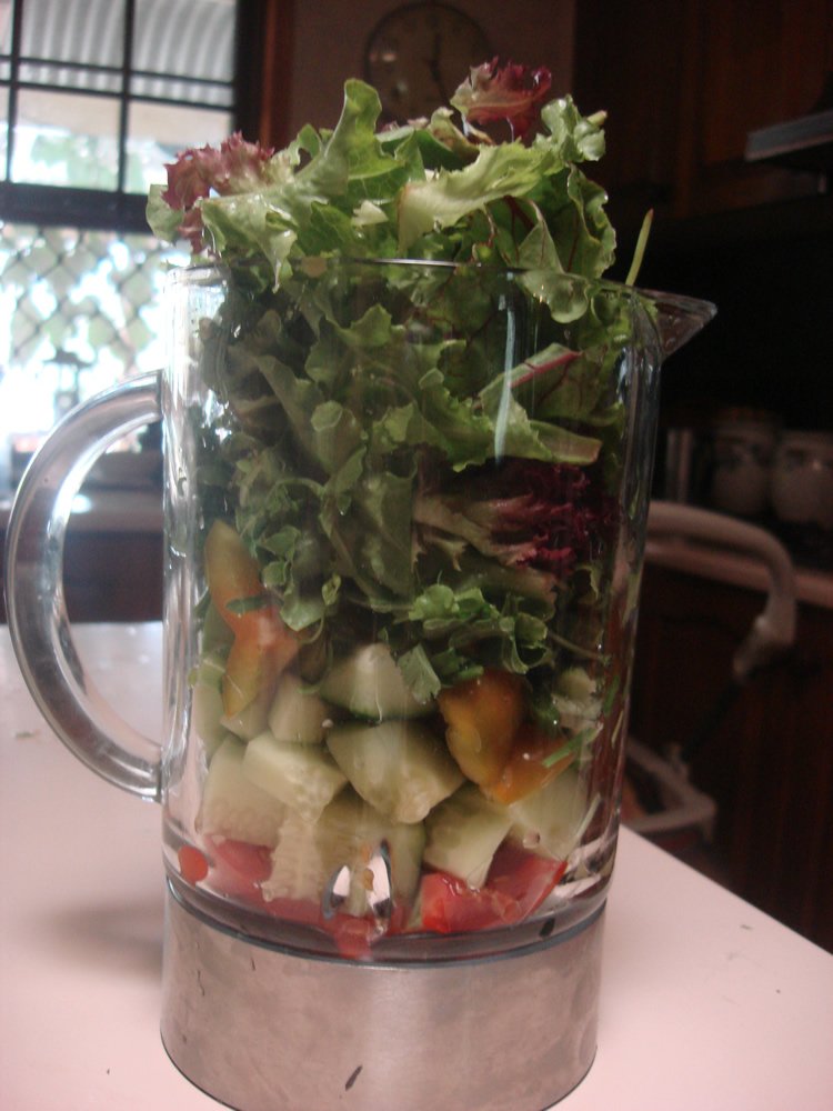 Alkaline Smoothie Image 2