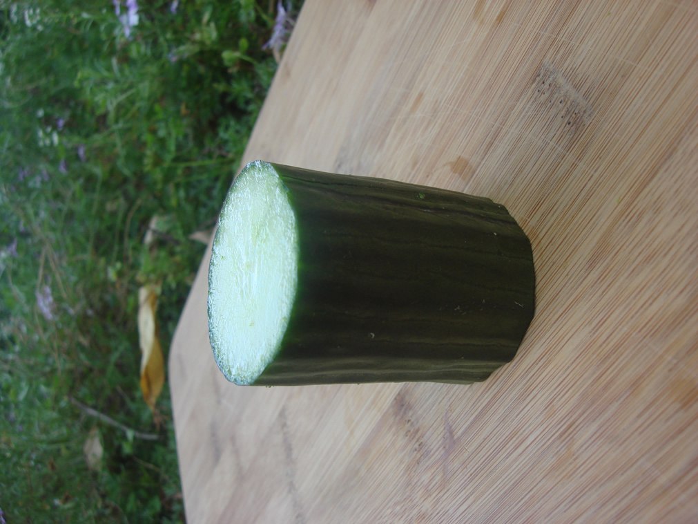 Alkaline Rich Food 3: Cucumber