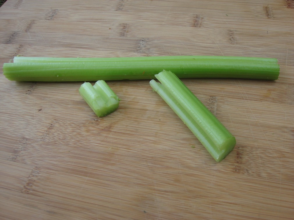 Alkaline Rich Food 2: Celery