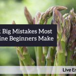 four mistakes alkaline beginners make