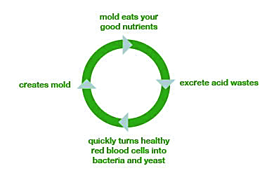 cycleofimbalance