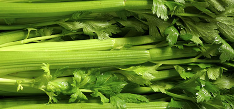 celery