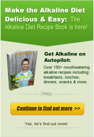 Alkaline Diet Recipe Book Banner