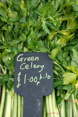 alkaline snacks main image: celery