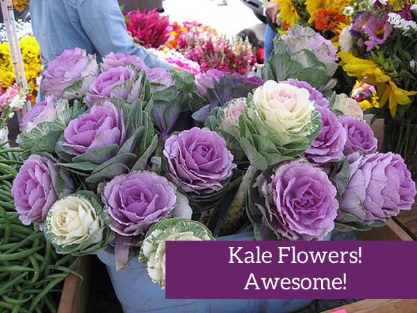 Kale Flowers!