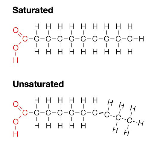 Saturated Fat vs Unsaturated Fat