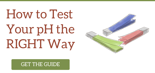 the-ph-test-cheat-sheet-download-image