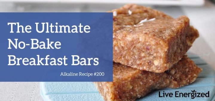 No Bake Breakfast Bars Recipe