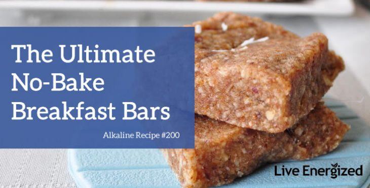 No Bake Breakfast Bars Recipe