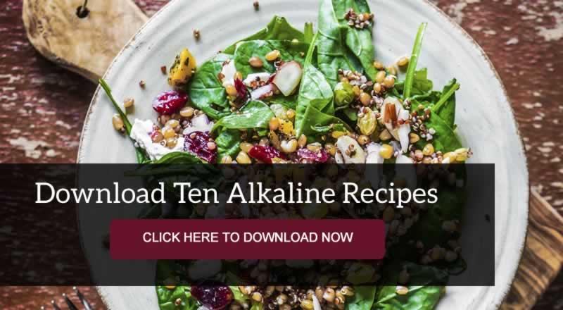 recipes for the alkaline lifestyle