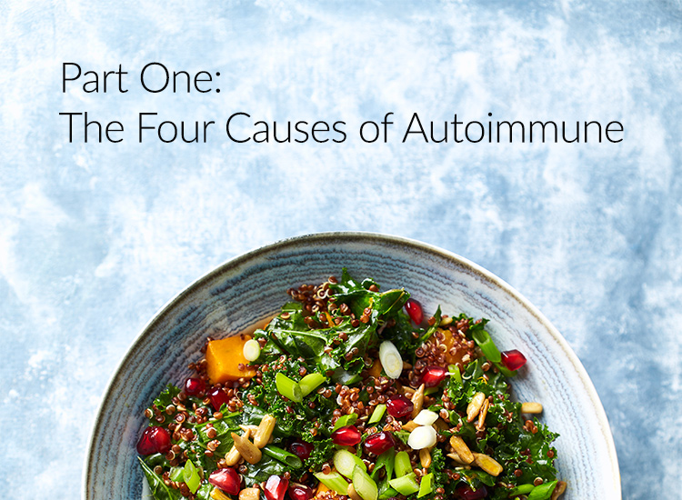 The Four Causes of Autoimmune