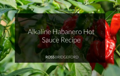 alkaline habanero recipe