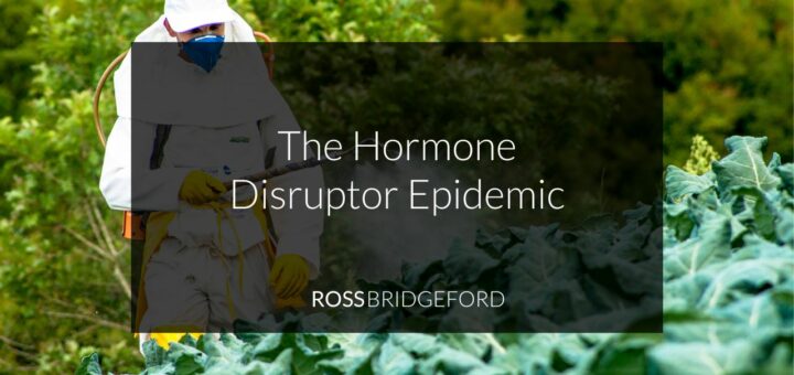 hormone disruptors title