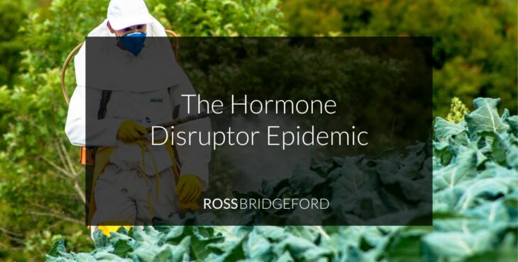 hormone disruptors title