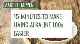 Guide to making it easy to live alkaline