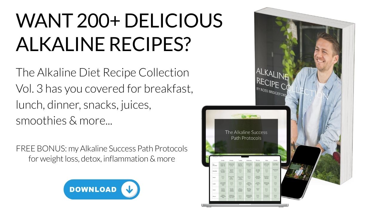 Alkaline Recipe Collection Volume 3